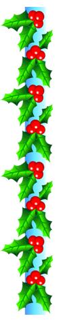 Holly Border